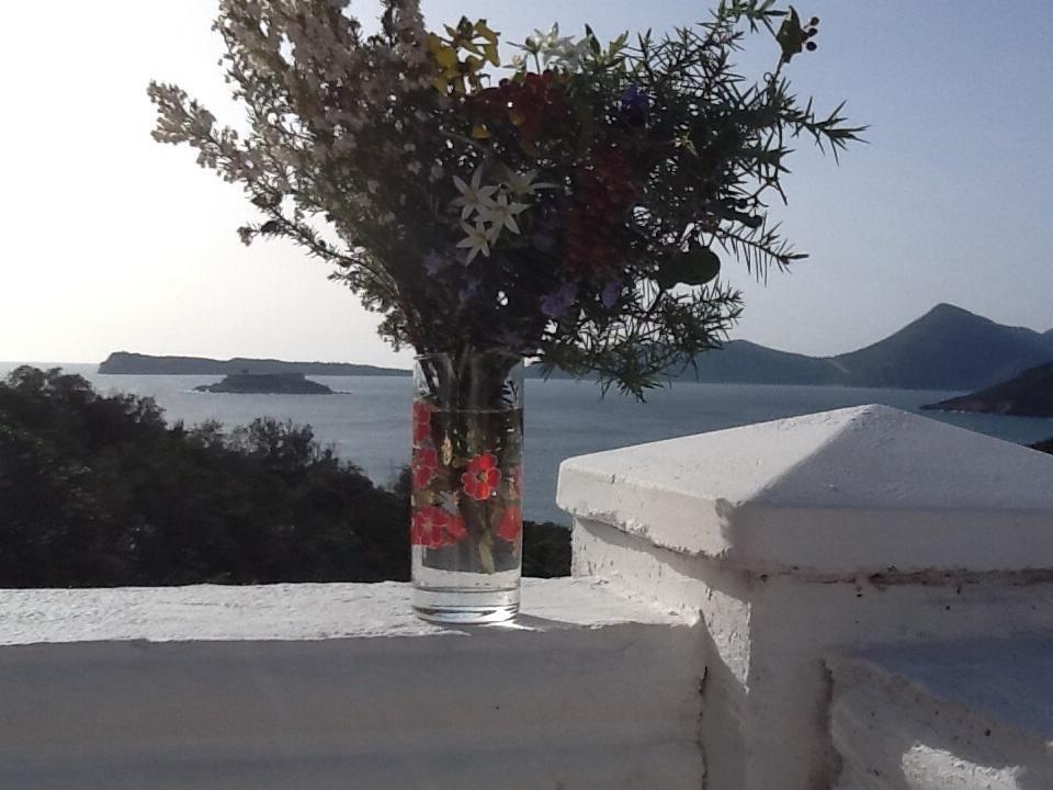 Villa Mirista Luštica Rom bilde